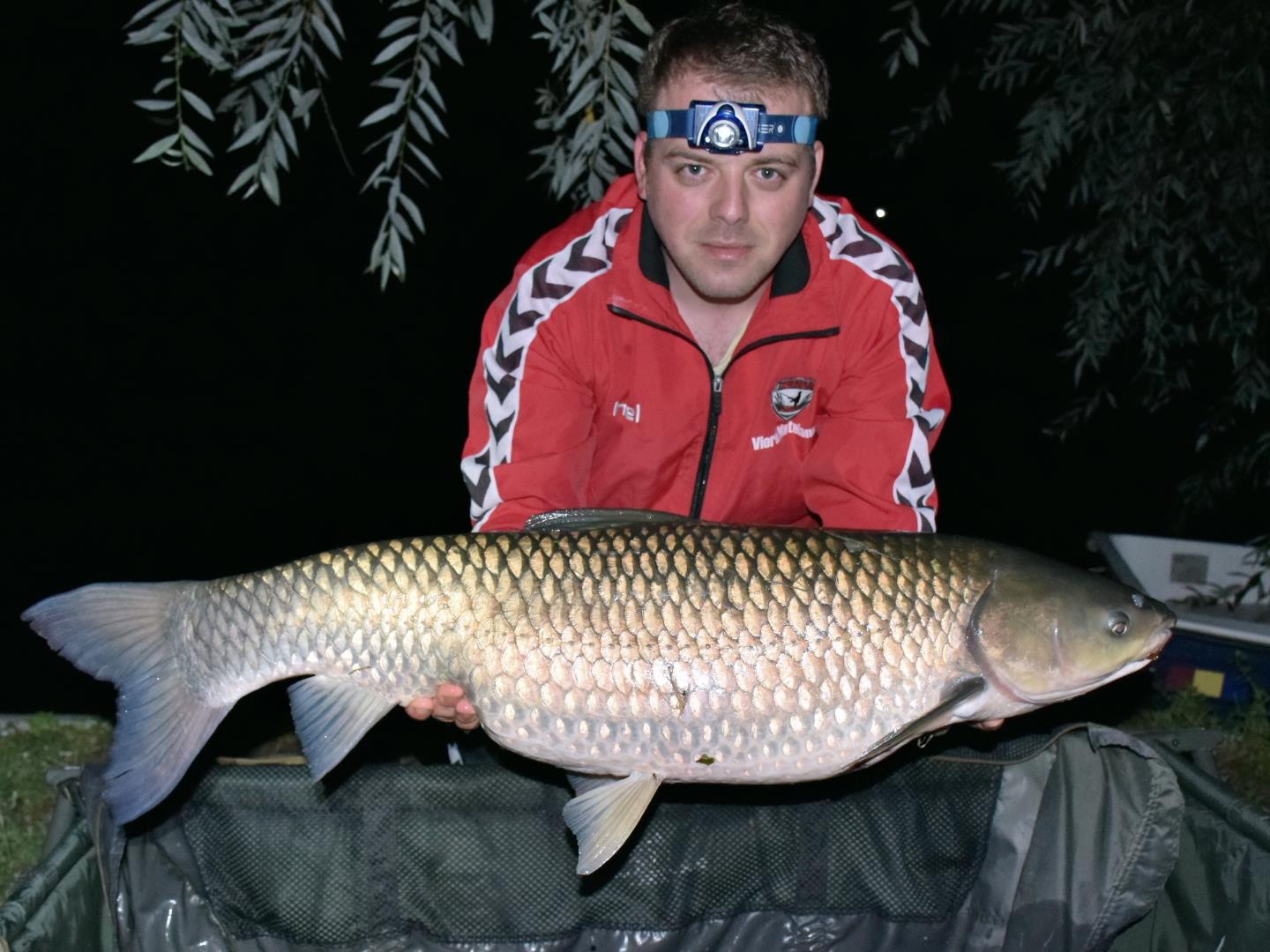 Tancabesti 13 - 15 aug. - 15